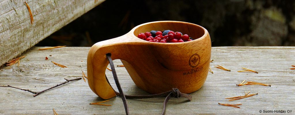 Иматра снять коттедж | Suomi-Holiday.fi